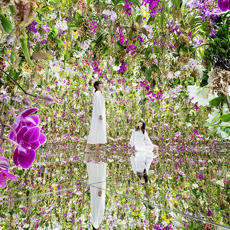Floating Flower Garden / © teamLab.