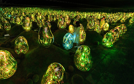 Moss Garden of Resonating Microcosms / © teamLab.